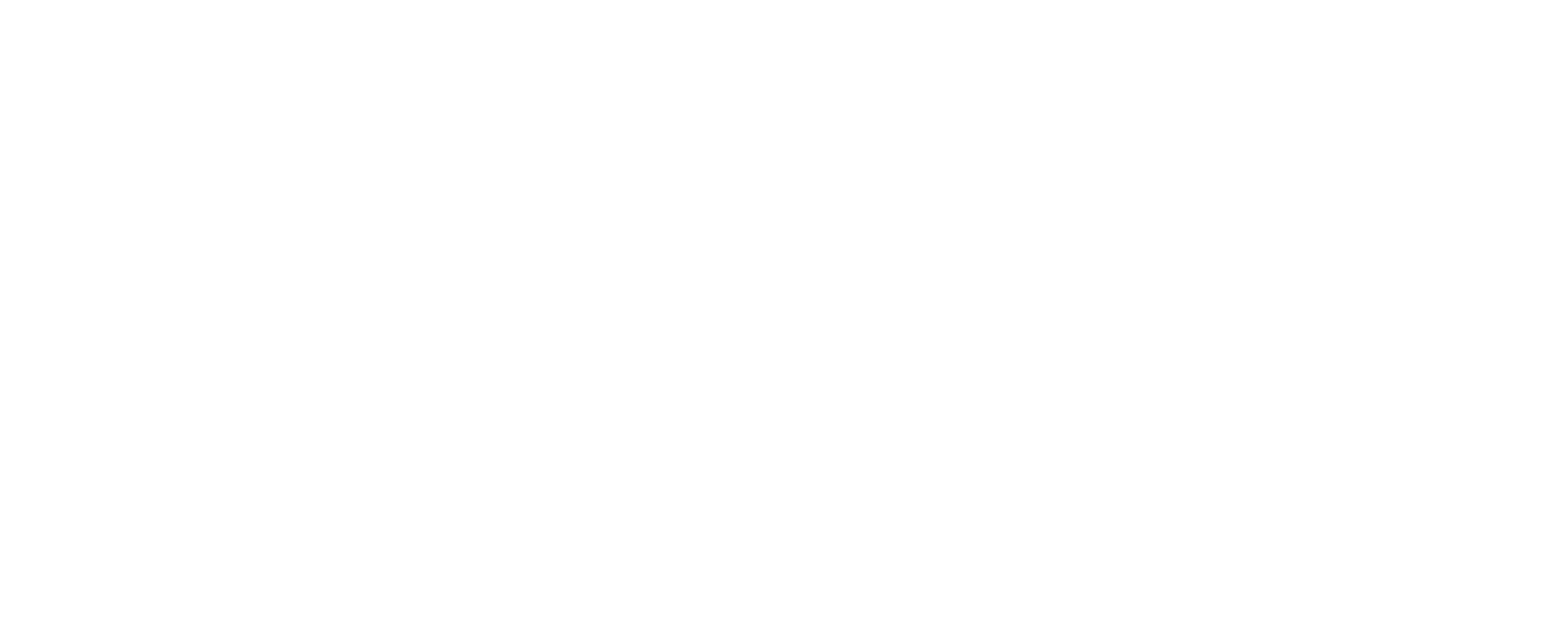 Netflea.de